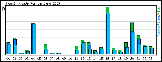 Hourly usage