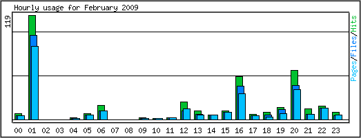 Hourly usage